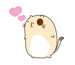 Caramel : The fun cat sticker #7102573