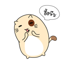 Caramel : The fun cat sticker #7102575