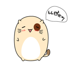 Caramel : The fun cat sticker #7102590