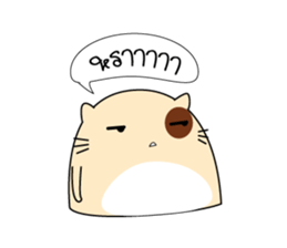 Caramel : The fun cat sticker #7102591