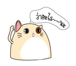 Caramel : The fun cat sticker #7102597