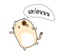 Caramel : The fun cat sticker #7102598
