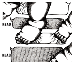 Art of baby sticker #7103557