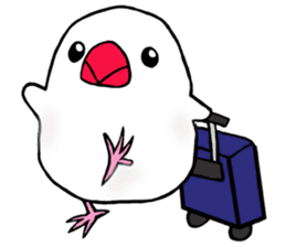 PUKUBUN Travel sticker #7104094