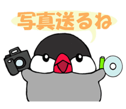 PUKUBUN Travel sticker #7104114