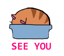 Stray Cats Story sticker #7104918