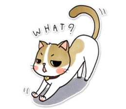 Dek Chai "Gam Yuay" sticker #7107037