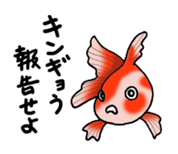 Fish picture book 2 sticker #7107045