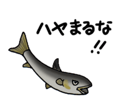 Fish picture book 2 sticker #7107047