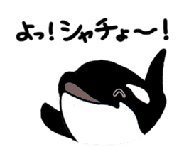 Fish picture book 2 sticker #7107050