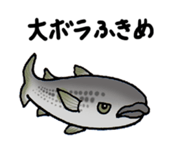 Fish picture book 2 sticker #7107054