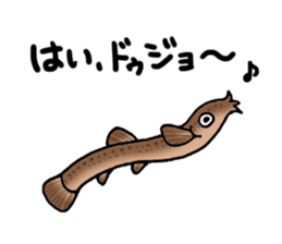 Fish picture book 2 sticker #7107060