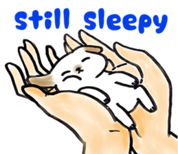 Hand riding dog(ENGLISH ver.) sticker #7108362