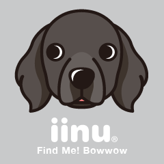 iinu - Flat Coated Retriever