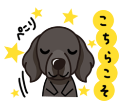 iinu - Flat Coated Retriever sticker #7109206