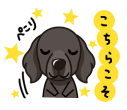 iinu - Flat Coated Retriever sticker #7109206