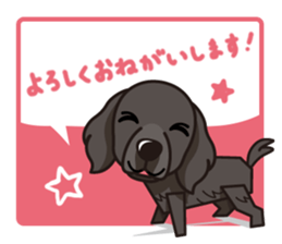 iinu - Flat Coated Retriever sticker #7109207