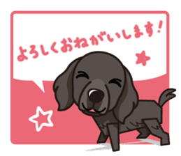 iinu - Flat Coated Retriever sticker #7109207