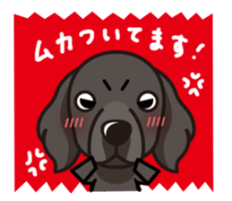 iinu - Flat Coated Retriever sticker #7109215