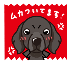 iinu - Flat Coated Retriever sticker #7109215