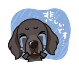 iinu - Flat Coated Retriever sticker #7109217