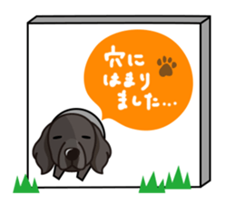 iinu - Flat Coated Retriever sticker #7109218
