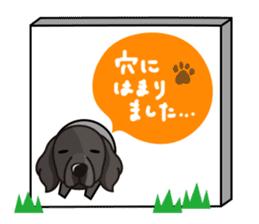 iinu - Flat Coated Retriever sticker #7109218