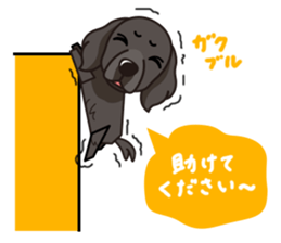 iinu - Flat Coated Retriever sticker #7109235