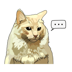 Free life cats part2 =Dog and Cat life=