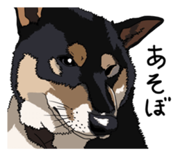 Free life cats part2 =Dog and Cat life= sticker #7112008