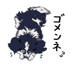 Free life cats part2 =Dog and Cat life= sticker #7112009