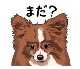 Free life cats part2 =Dog and Cat life= sticker #7112010