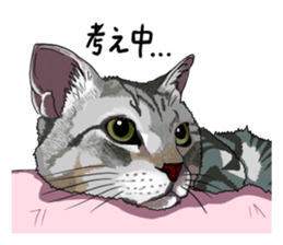 Free life cats part2 =Dog and Cat life= sticker #7112012