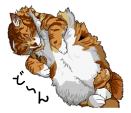 Free life cats part2 =Dog and Cat life= sticker #7112013