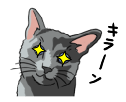 Free life cats part2 =Dog and Cat life= sticker #7112014