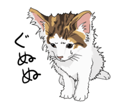 Free life cats part2 =Dog and Cat life= sticker #7112015