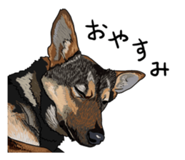 Free life cats part2 =Dog and Cat life= sticker #7112016