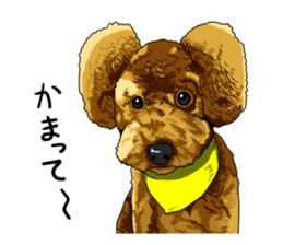 Free life cats part2 =Dog and Cat life= sticker #7112017