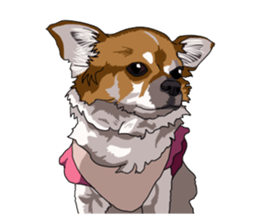 Free life cats part2 =Dog and Cat life= sticker #7112018