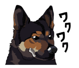 Free life cats part2 =Dog and Cat life= sticker #7112019