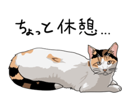 Free life cats part2 =Dog and Cat life= sticker #7112020