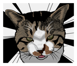 Free life cats part2 =Dog and Cat life= sticker #7112021