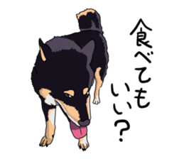 Free life cats part2 =Dog and Cat life= sticker #7112024