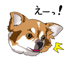 Free life cats part2 =Dog and Cat life= sticker #7112026