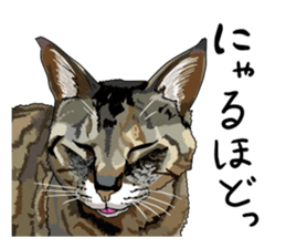 Free life cats part2 =Dog and Cat life= sticker #7112028