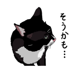 Free life cats part2 =Dog and Cat life= sticker #7112029