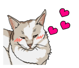 Free life cats part2 =Dog and Cat life= sticker #7112032