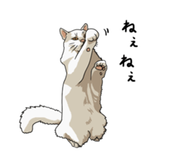 Free life cats part2 =Dog and Cat life= sticker #7112033