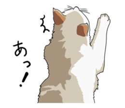 Free life cats part2 =Dog and Cat life= sticker #7112034