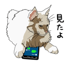 Free life cats part2 =Dog and Cat life= sticker #7112035